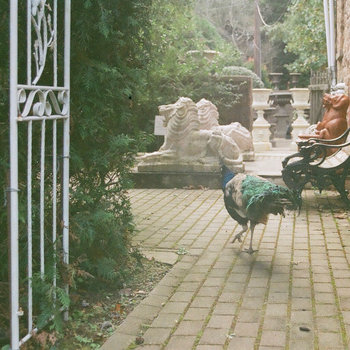 “Raspberry,” Chet Wasted